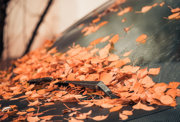 Common Car Problems You Might Face This Autumn | Gil's Garage in Burnt Hills, NY